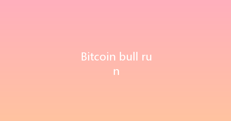 Bitcoin bull run 