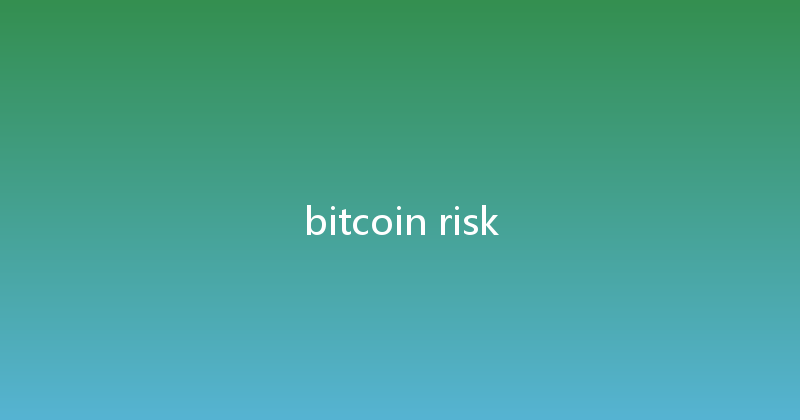 bitcoin risk 